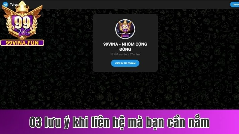 Tổng Hợp Những Phương Thức Liên Hệ 99vina Mà Bạn Cần Biết 3 03 lưu ý khi liên hệ mà bạn cần nắm